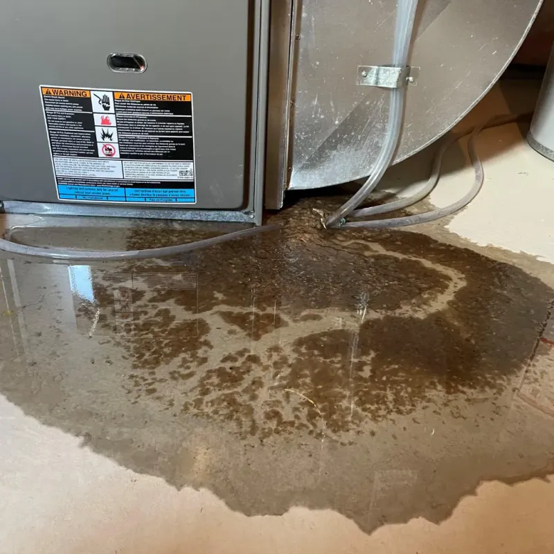 Appliance Leak Cleanup in Charlestown, IN